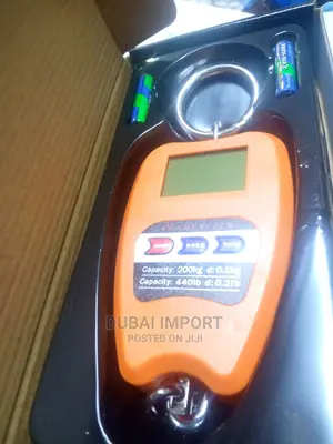 Mini Crane Scale 200kgs