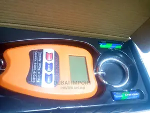 Mini Crane Scale 200kgs
