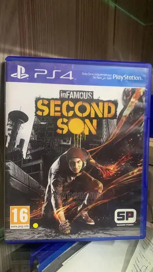Infamous Second Son