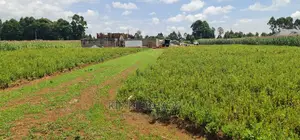 Plots for Sale in Kiplombe Opposite Proposed MTRH in Eldoret
