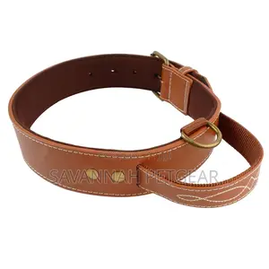 Quick Control Real Leather Dog Collar With Handle Dog