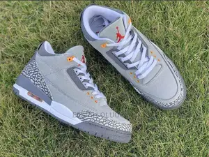 Jordan 3 Cool Grey