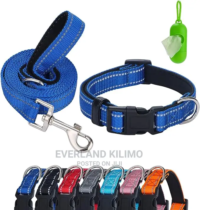 Dog Padded Collar and Leash