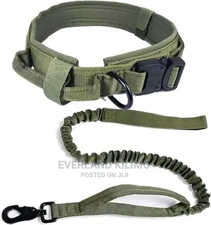 Jungle Green Tactical Dog Collar and Leash