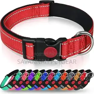 Petstar Adjustable Reflective Nylon Dog Collar