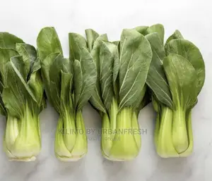 Pakchoy /Bokchoy. 10 Punnets Each 150g.