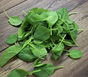 Baby Spinach Packed in Punnet Moq 10. 24hrs Delivery Time