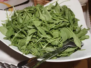 Rucola. Packed in 150g Punnets Moq10 Punnets. 24hrs Leadtime