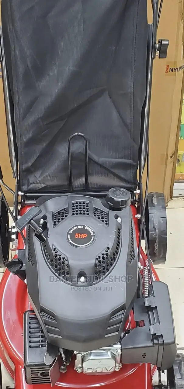 Gasoline Lawn Mower 6.5hp 173cc