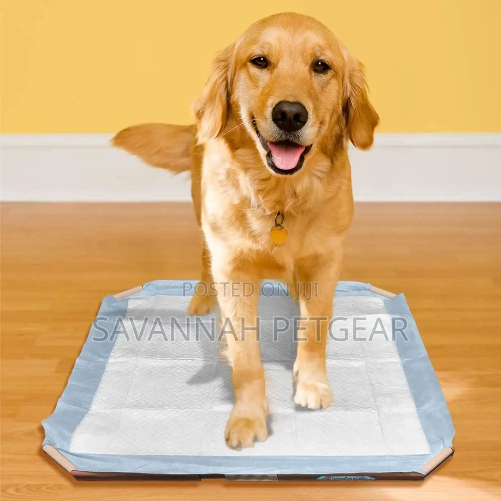 Simple Solution Dog Pad Holder – Portable Tray for Pet Train