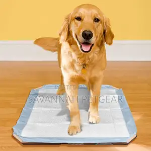 Simple Solution Dog Pad Holder – Portable Tray for Pet Train