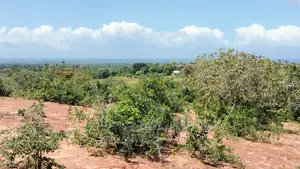 5 Acres Ocean View Property in Golini