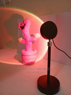 16 Colors Romantic Visual Mood Lighting Lamp With Remote
