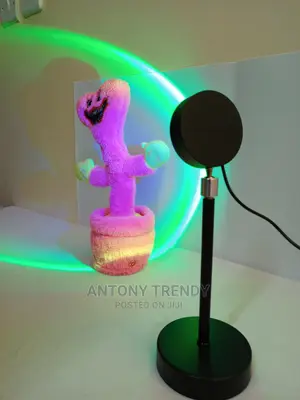 Romantic Visual Mood Lighting Lamp With Remote