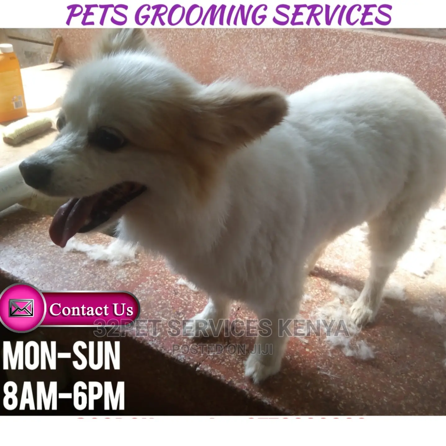 Professional Pet Grooming Services