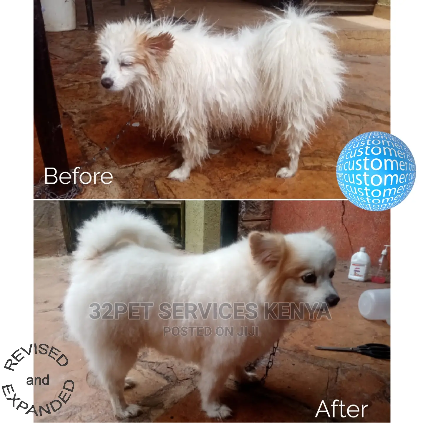 Professional Pet Grooming Services