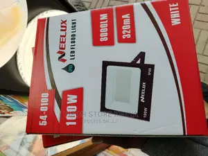 Security Light Floodlight 100watts 8000LM LED Neelux Light