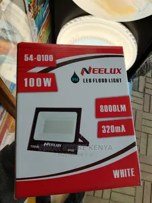 New IP66 100watts Security Light 8000LM 320MA LED Lights