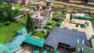 Drone Services