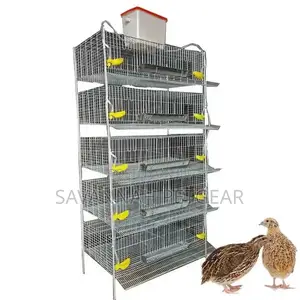 Best Quality H Type Quail Cage for Sale