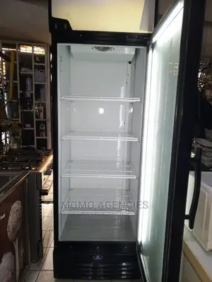 Display Fridge 650l