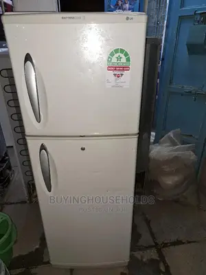 LG Express Cool 240L Two Door Fridge