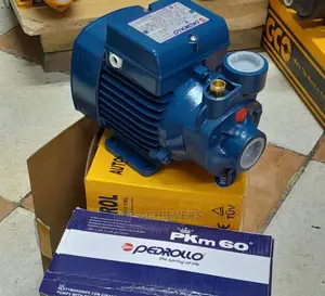Best Pedrollo Water Pump