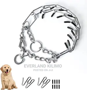 Stainless Steel Dog Prong Collar