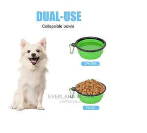 Collapsible Dog Cat Feeding Bowl