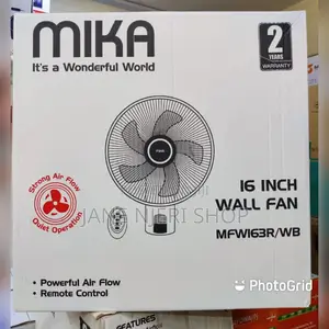 16 Inches Wall Fan