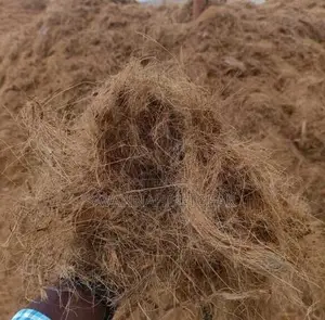 Coconut Coir Fibre Packaged in 10kg Bags