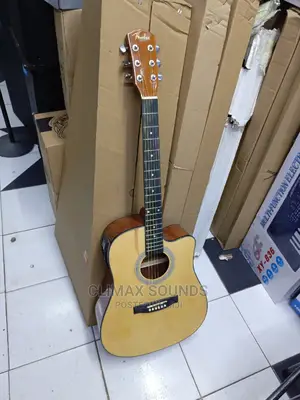 Semi Acoustic Guitar Fender S41