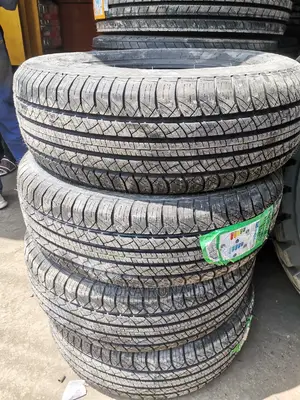 225/65r17 Lanvigator Tyre