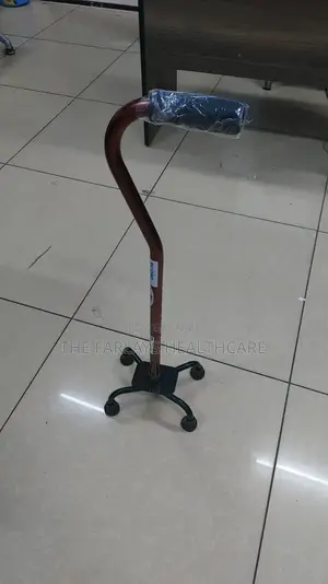 Quadi Walking Stick