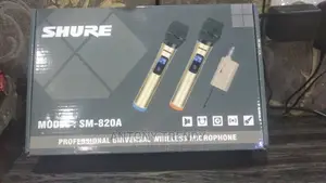 Professionl Wireless Microphone