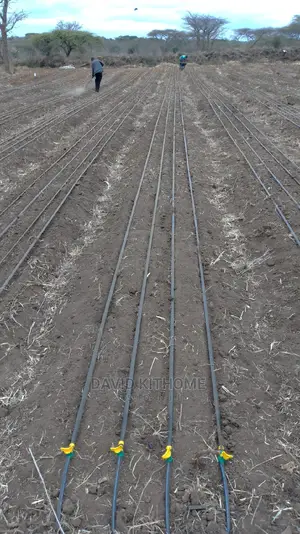 Drip Irrigation Installation
