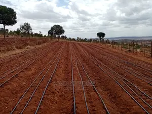 Drip Irrigation Installation