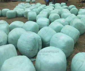 Pakchong Silage Baled 65 - 90kgs.