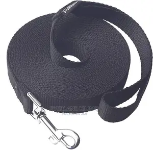 Long Training Dog Flat Leash