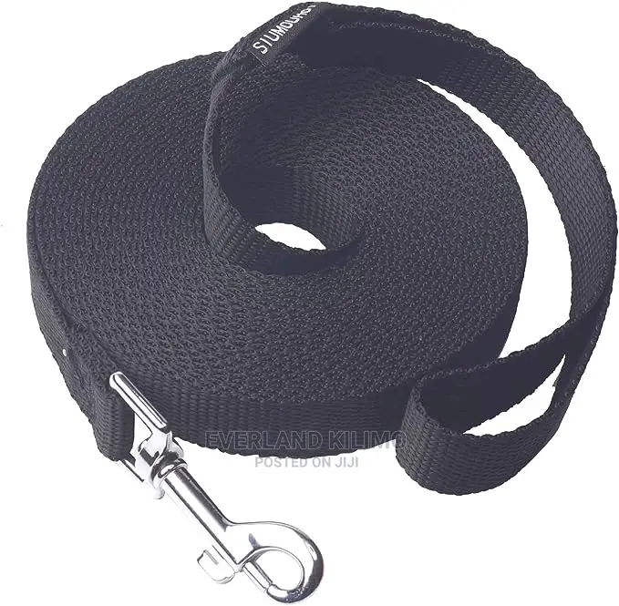 Long Training Dog Flat Leash