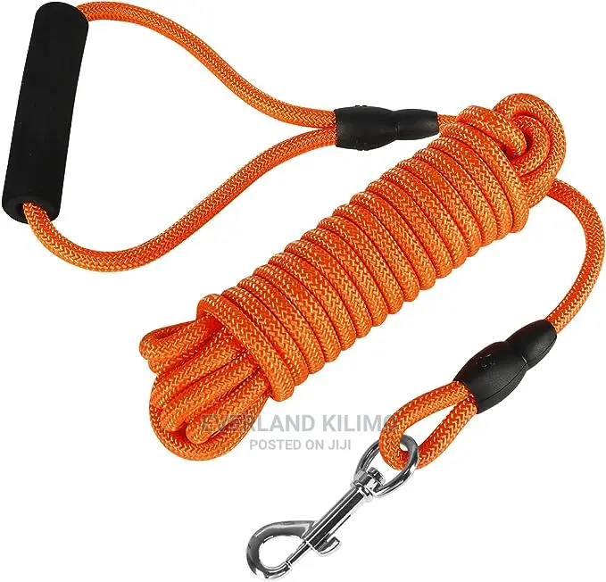 Lightweight Dog Training Leash-Long