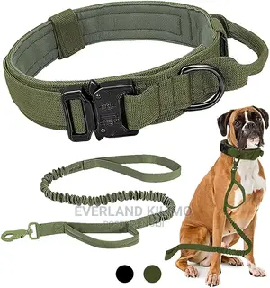Heavy Duty Tactical Dog Collar and Leash