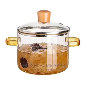 Borosilicate Cooking Pot 2.8L