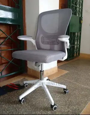 Executive Office Chair