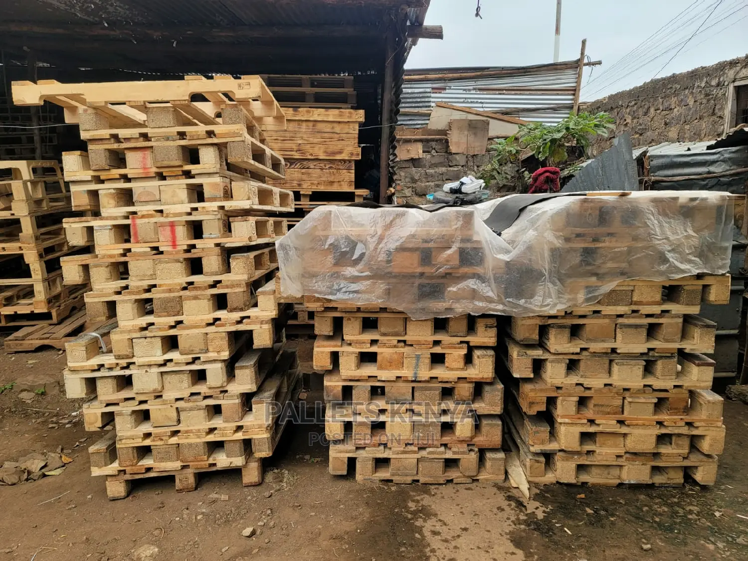 Wooden Pallets- (HT- MJP)