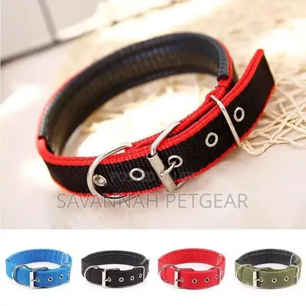 Heavy Duty Adjustable Dog Collar, With Foam Padding - Small