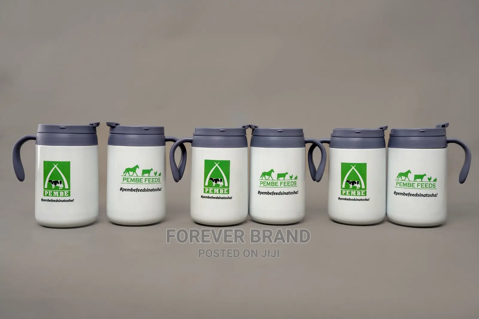 JUG FLASK(Plain and Banded)