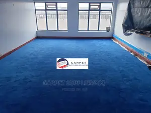 Vip Blue Carpet