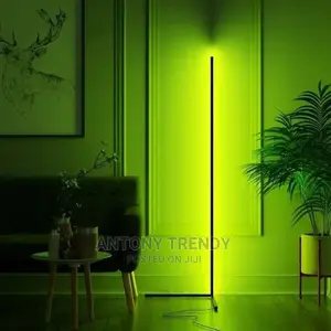 Floor Lamp, Removable LED Corner Lamp