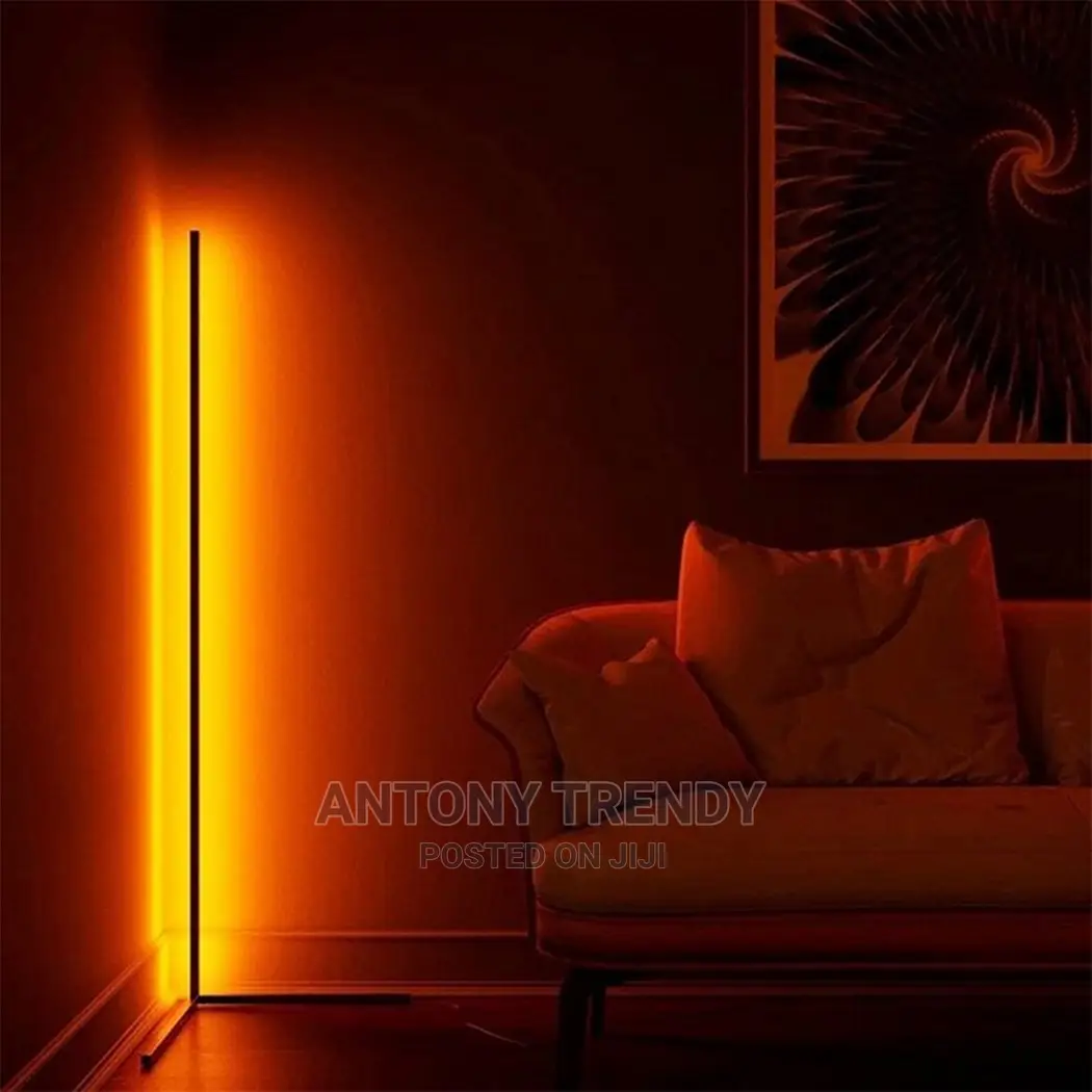 Color Changing Standing Lamp Corner Wall Lighting